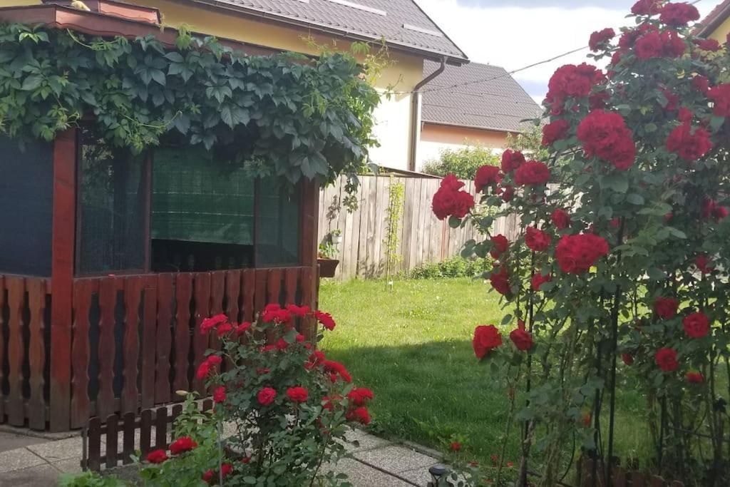 Casa Merilor I & II 브라쇼브 외부 사진
